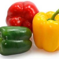 Capsicum